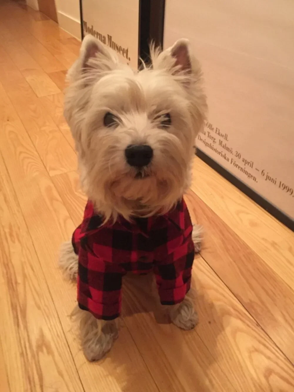 Buffalo Plaid Dog Shirt